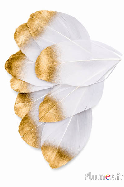Blütenblätter aus Federn - 6-8 x 3-4 cm- weiss-gold